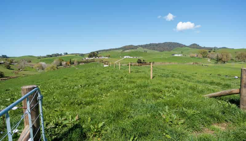 231A Morgan Road, Matamata