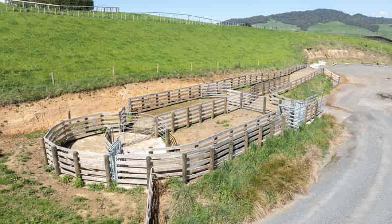 231A Morgan Road, Matamata