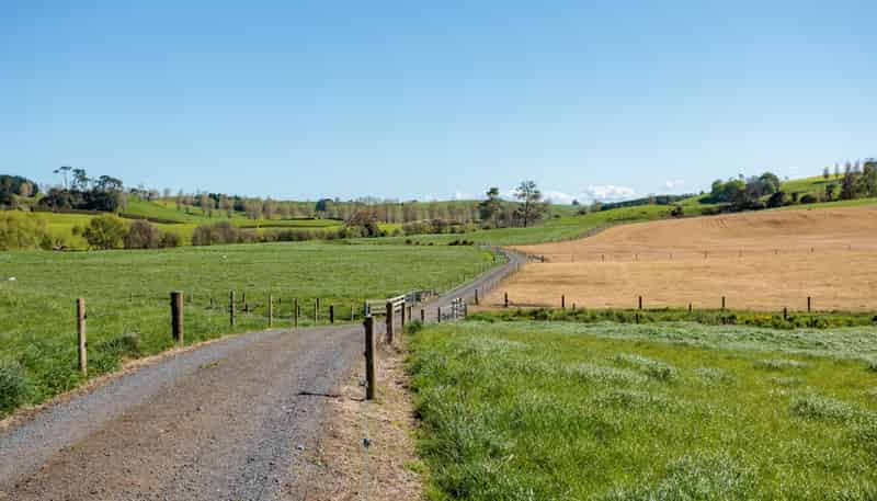 231A Morgan Road, Matamata