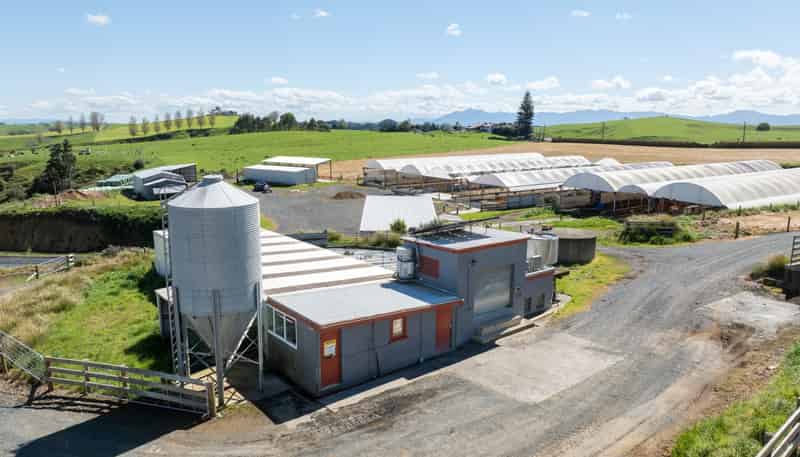 231A Morgan Road, Matamata