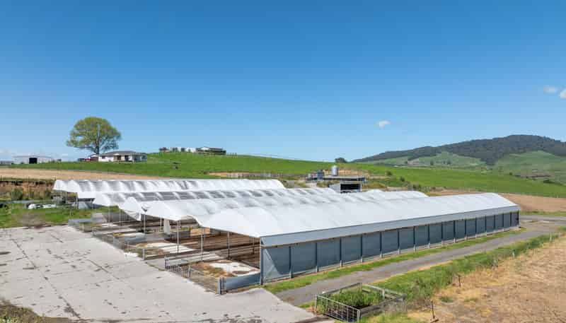 231A Morgan Road, Matamata