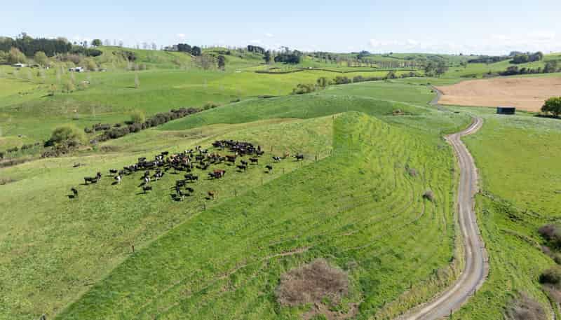 231A Morgan Road, Matamata