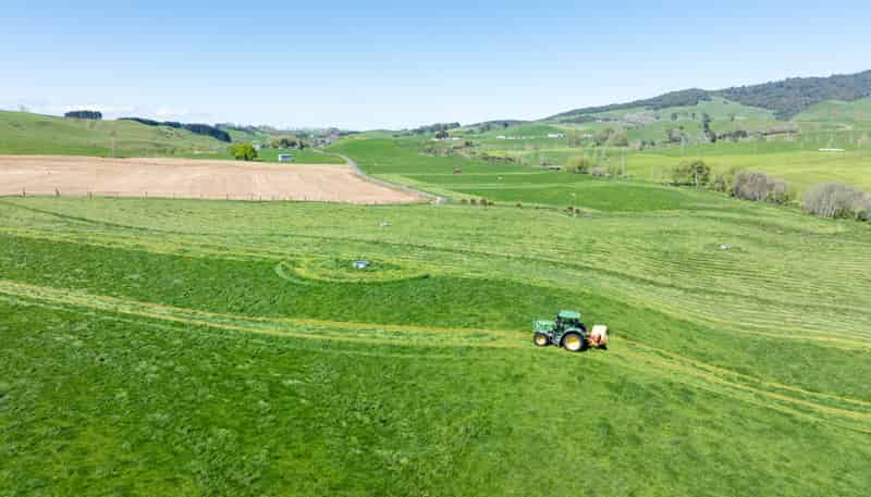 231A Morgan Road, Matamata