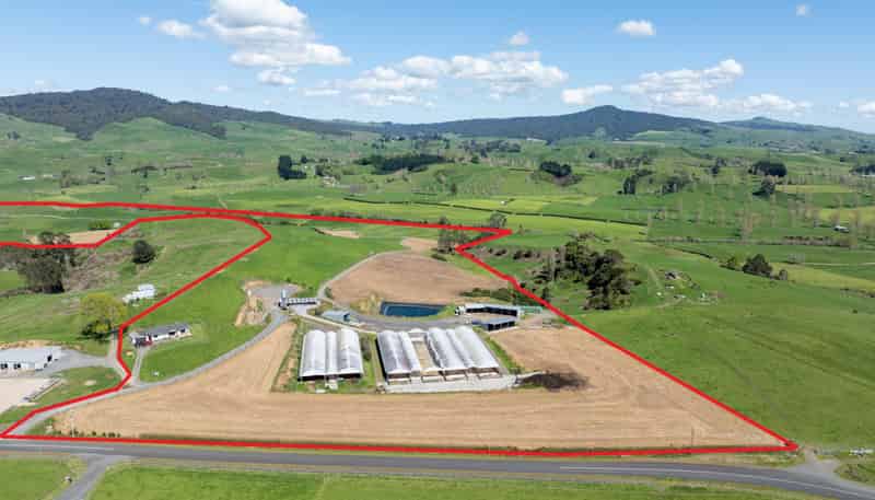 231A Morgan Road, Matamata