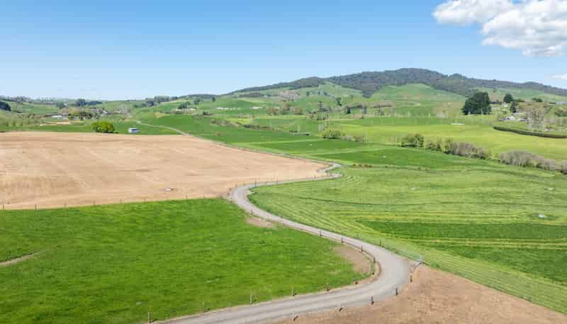 231A Morgan Road, Matamata