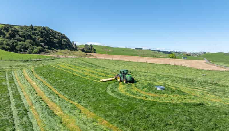 231A Morgan Road, Matamata