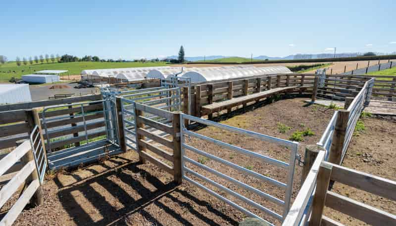 231A Morgan Road, Matamata