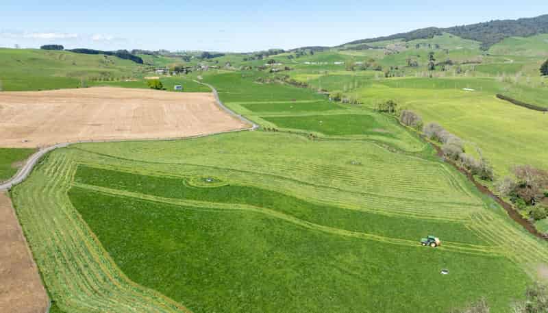 231A Morgan Road, Matamata