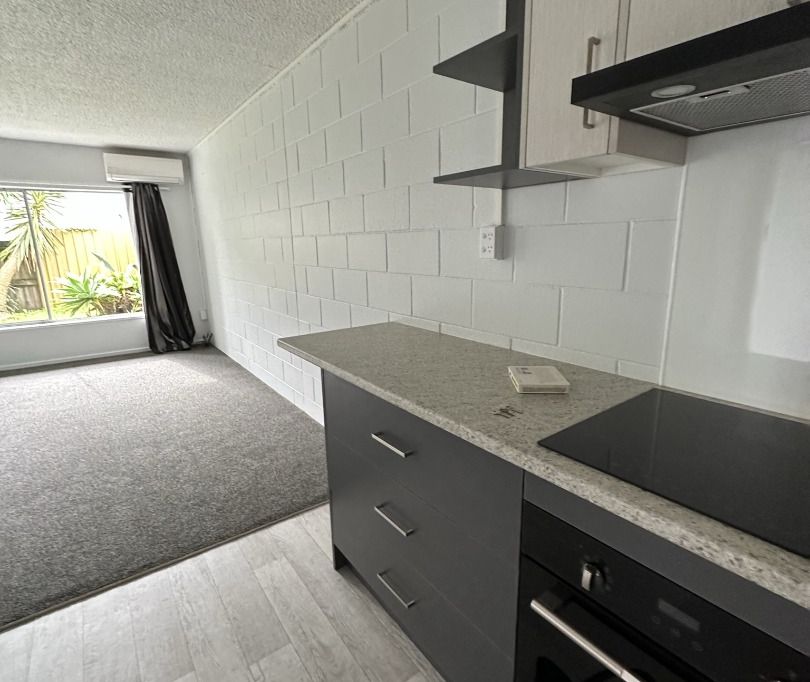 1 bedroom unit 2