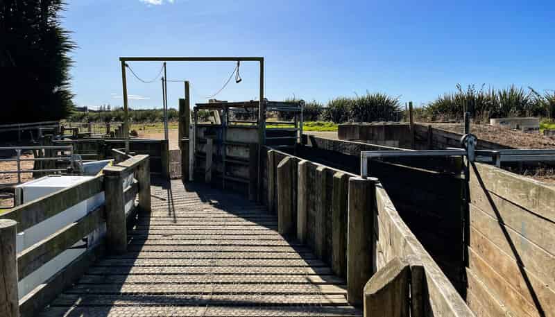 55 McGill Road, Te Tipua