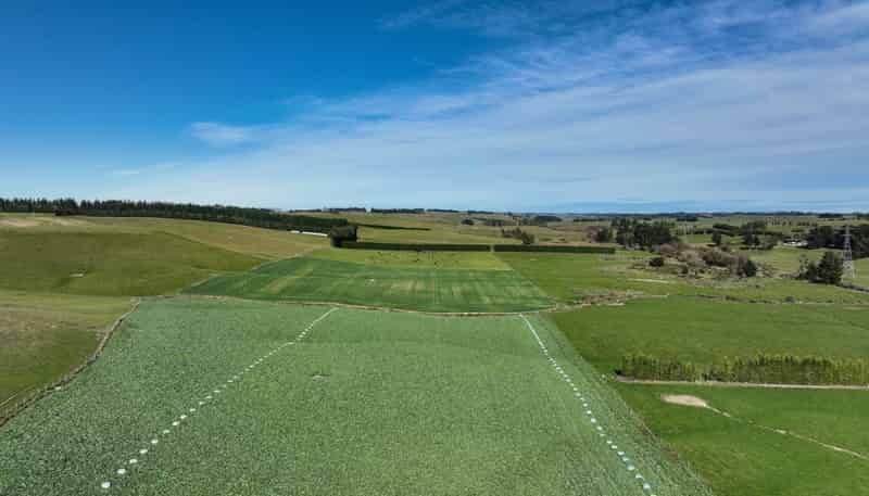 55 McGill Road, Te Tipua