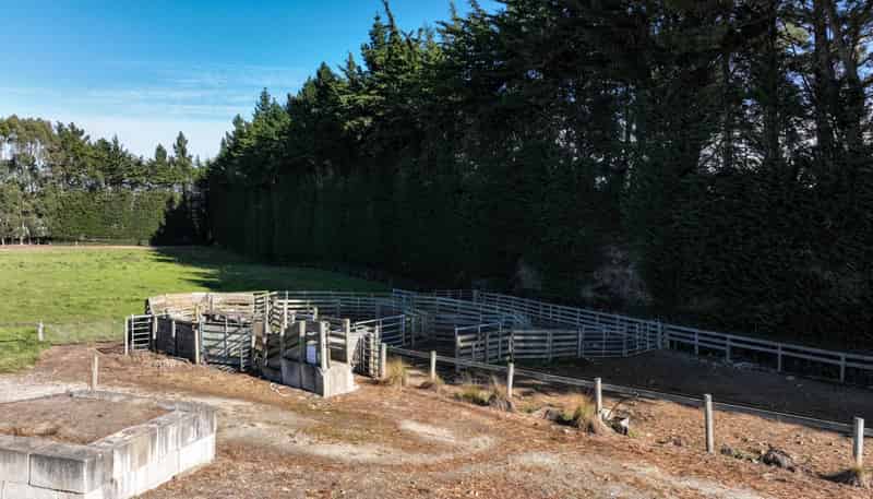 55 McGill Road, Te Tipua