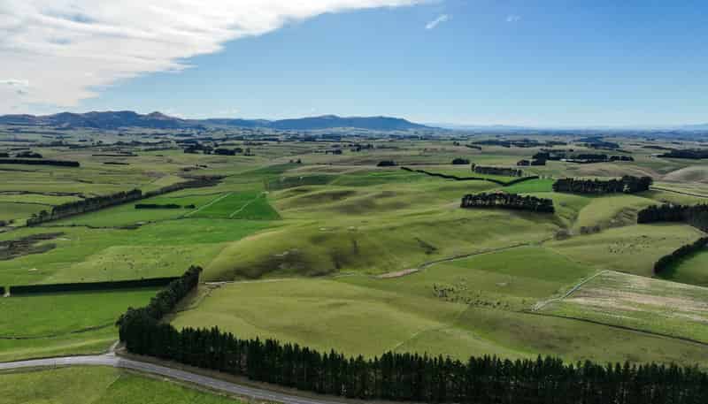 55 McGill Road, Te Tipua