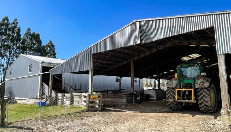 55 McGill Road, Te Tipua