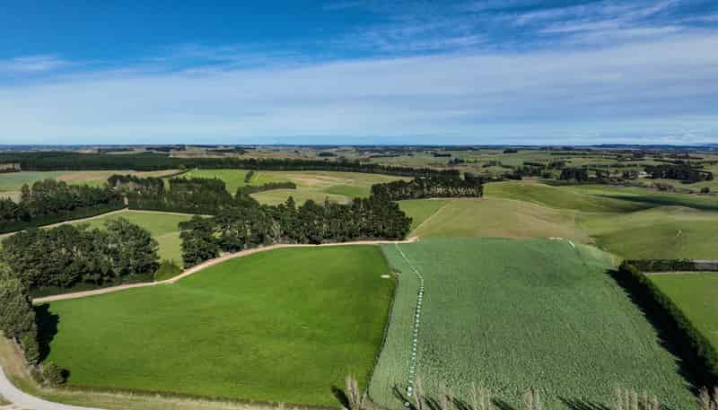 55 McGill Road, Te Tipua