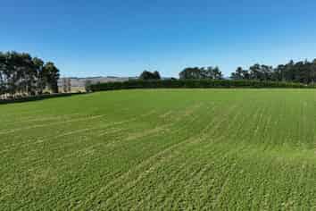 55 McGill Road, Te Tipua