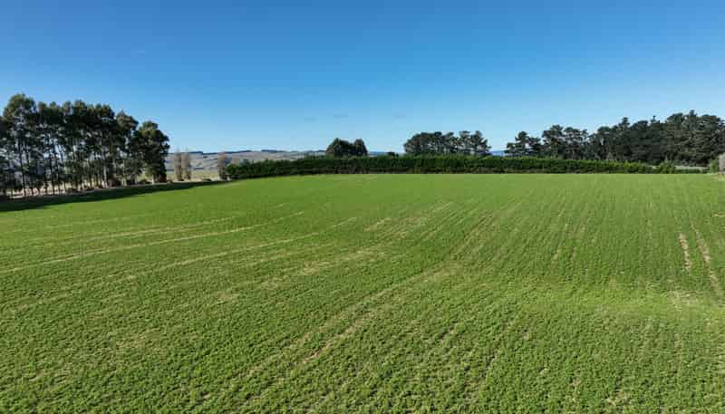55 McGill Road, Te Tipua