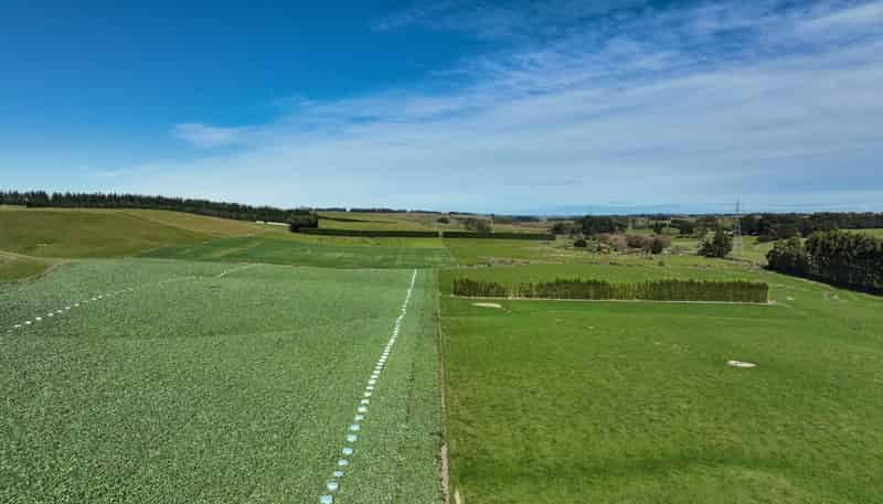 55 McGill Road, Te Tipua