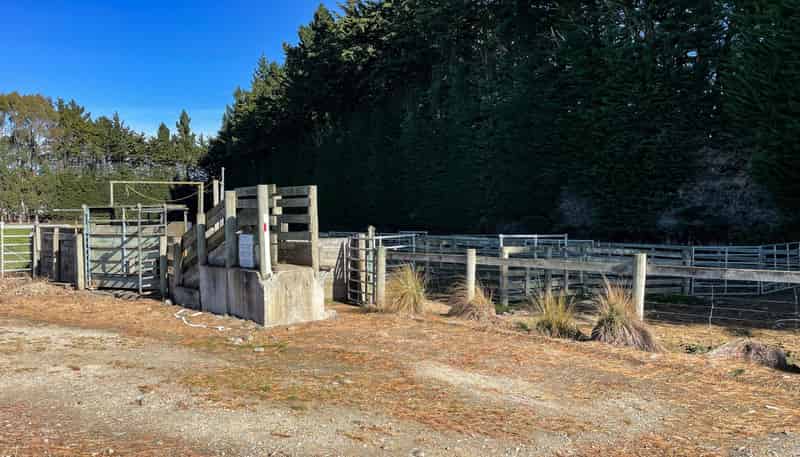 55 McGill Road, Te Tipua