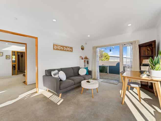 151 Tamamutu Street, Taupo