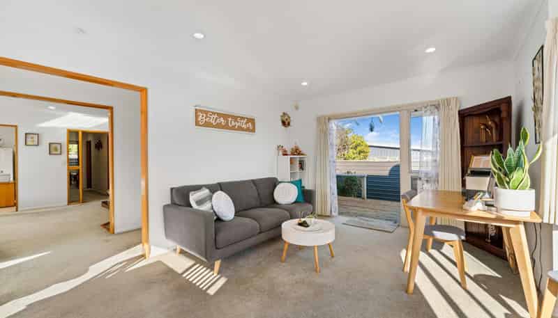 151 Tamamutu Street, Taupo