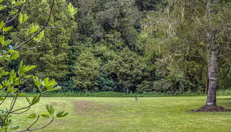 5816 Mangakahia Road, Kaikohe