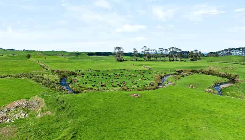 772 Newall Road, Okato