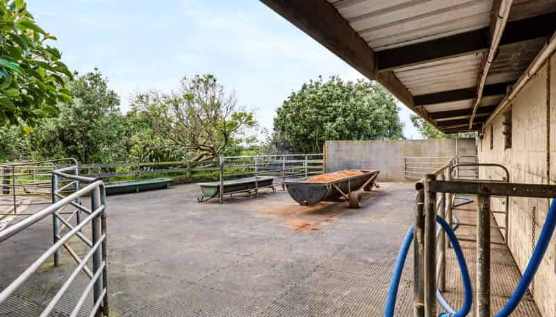 420 Upper Kina Road, Oaonui
