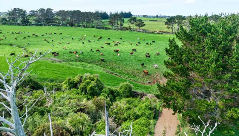 420 Upper Kina Road, Oaonui