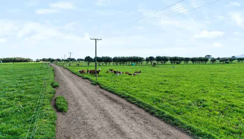 420 Upper Kina Road, Oaonui