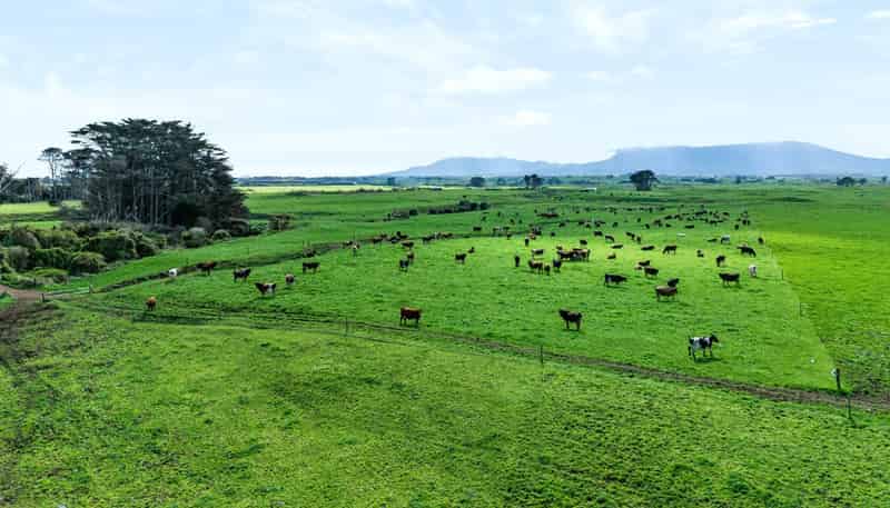 420 Upper Kina Road, Oaonui