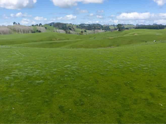 1698 Hetherington Road, Huntly