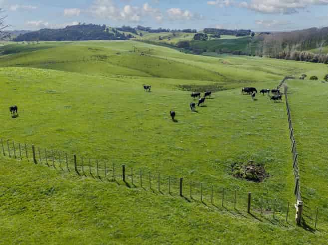 1698 Hetherington Road, Huntly