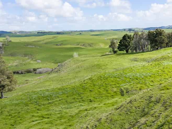 1698 Hetherington Road, Huntly