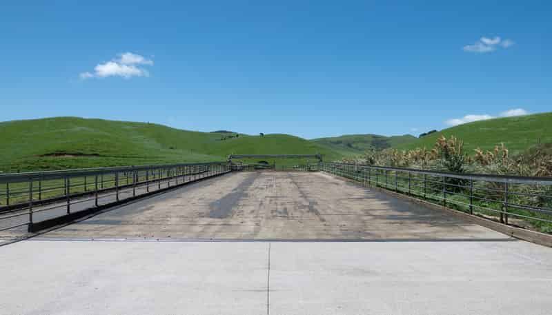 313 Te Wera Road, Matawai