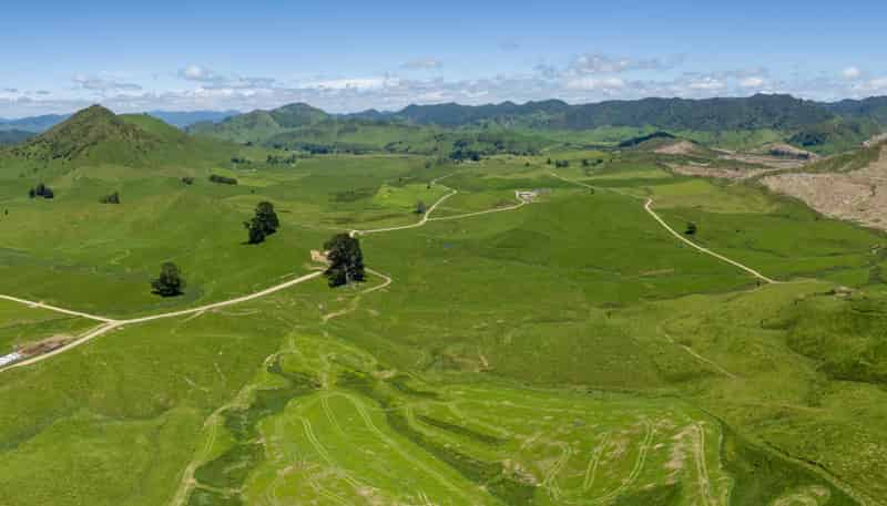 313 Te Wera Road, Matawai