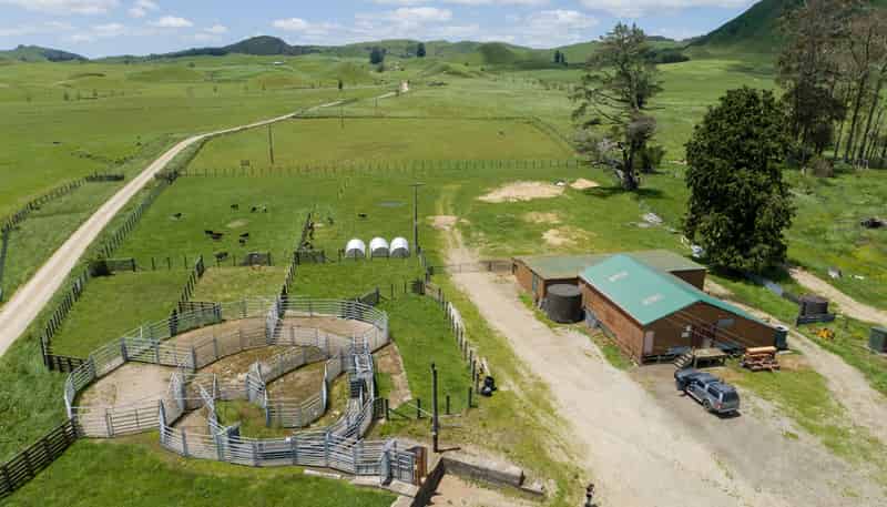 313 Te Wera Road, Matawai