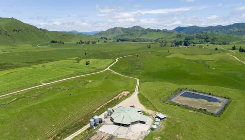 313 Te Wera Road, Matawai