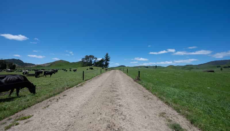 313 Te Wera Road, Matawai
