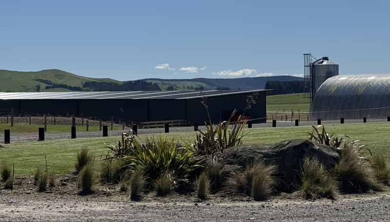 2/1389 Taharua Road, Rangitaiki