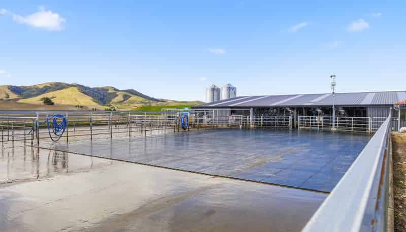 2/1389 Taharua Road, Rangitaiki