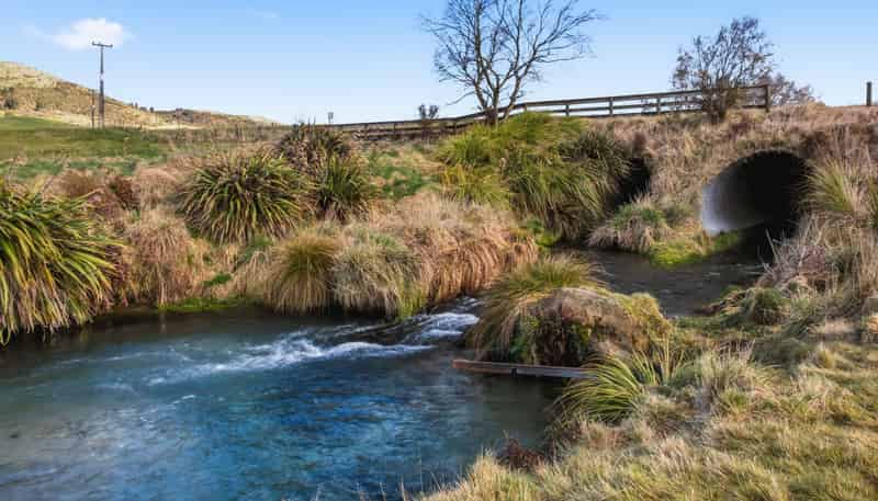 2/1389 Taharua Road, Rangitaiki