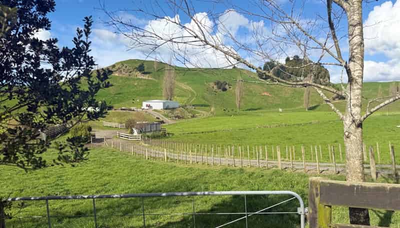141 Puketirau Road, Tirau
