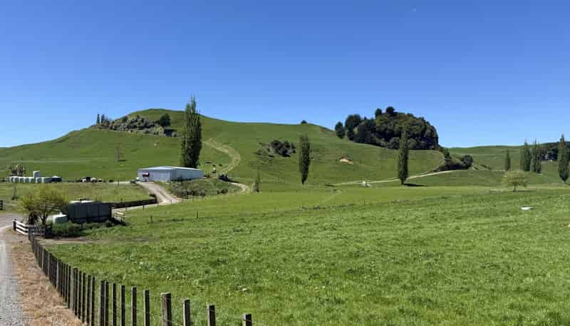 141 Puketirau Road, Tirau