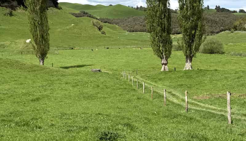 141 Puketirau Road, Tirau