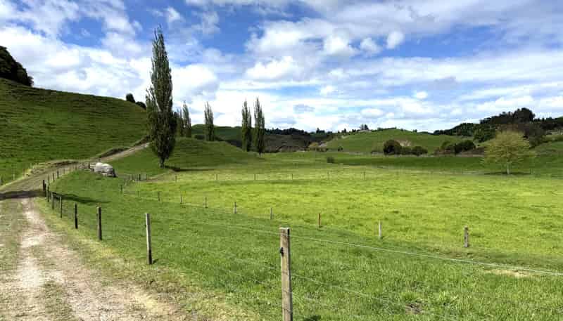 141 Puketirau Road, Tirau