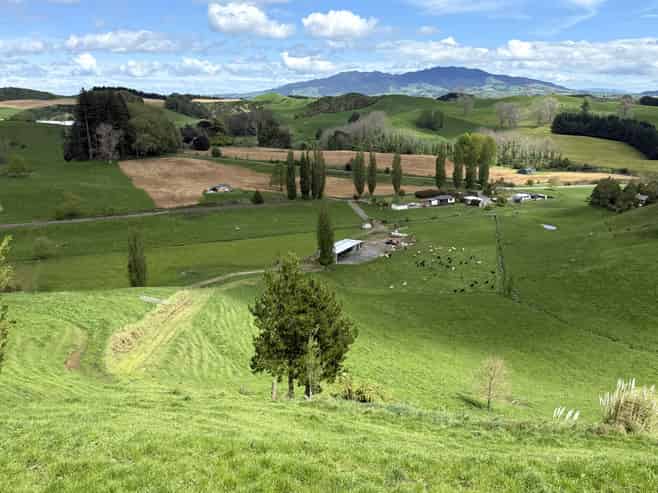 141 Puketirau Road, Tirau