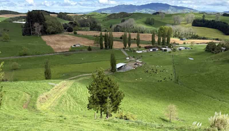 141 Puketirau Road, Tirau