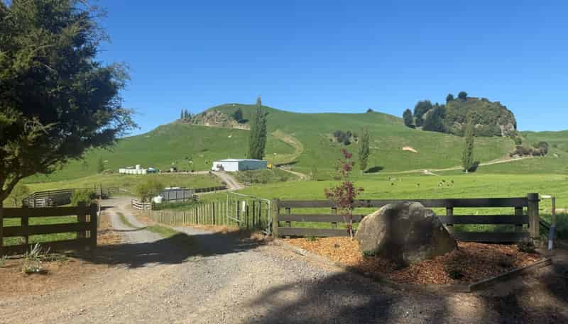 141 Puketirau Road, Tirau