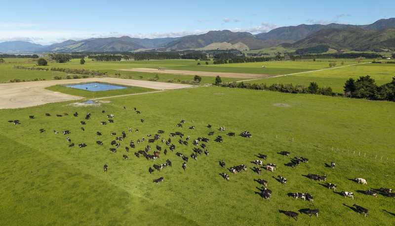 22 Bartons Road, Featherston